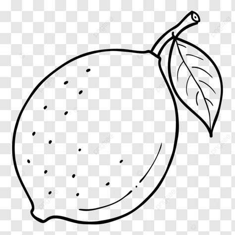 lemon fruit outline for coloring black and white vector lemon sketch lemon coloring page lemon lin Lemon Line Art, Lemon Sketch, Fruit Outline, Lemon Vector, Black And White Vector, Lemon Fruit, Art Png, Coloring Page, Line Art