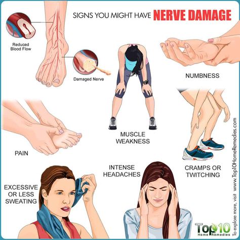 Love Is Scary Quotes, Nerve Damage Remedies, Nerve Pain Remedies, Ms Symptoms, Top 10 Home Remedies, Chronic Back Pain, Spinal Nerve, Back Pain Remedies, Lower Back Pain Relief