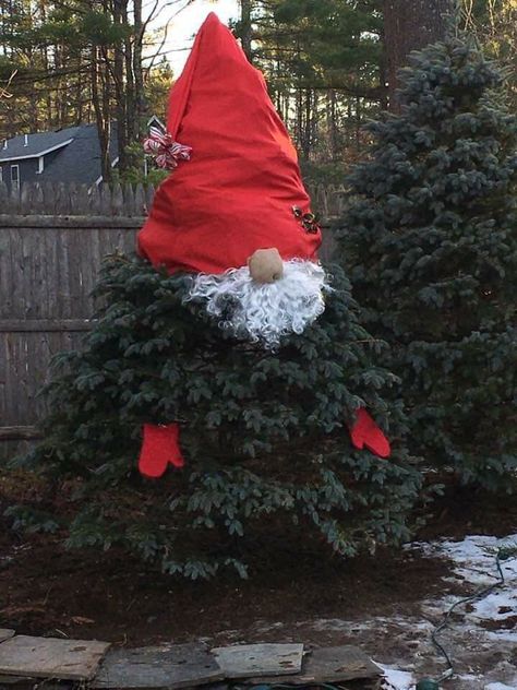 Christmas Tree Gnomes, Christmas Knomes, Tree Gnomes, Outdoor Christmas Decor Ideas, Outdoor Christmas Diy, Outdoor Christmas Decor, Daily Ideas, Holiday Crafts Diy, Outdoor Christmas Tree