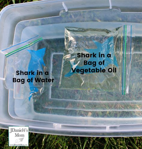 STEM Shark Activities for Kids - How Do Sharks Float? How Sharks Float Experiment, Shark Science Fair Project, Shark Experiments For Kids, Shark Science Experiments For Kids, Shark Experiment, Shark In The Park Activities Eyfs, Shark Activities For Kids, Shark Science, Shark Activities