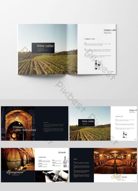 Wine Catalogue Design, Wine Brochure Design, Wine Brochures, Booklet Design Layout, Wine Bottle Photography, Keynote Design, Brochure Psd, Brochure Cover Design, Brochure Design Layout