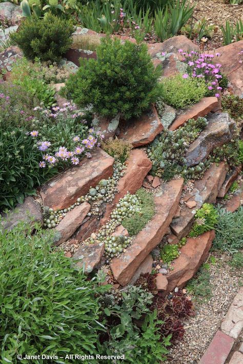 Plants For Rock Garden, Rockery Garden, Garden Interior, Alpine Garden, Rock Garden Design, Hillside Landscaping, Sloped Garden, Rock Gardens, Gravel Garden