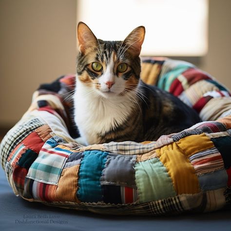 Dishfunctional Designs: Upcycled Patchwork Cat Beds That You Can Make At Home Patchwork Cat, Diy Cat Bed, Katt Grejer, Inside Cat, Chat Diy, Cat Beds, Breast Health, Cat Crafts, Cat Room