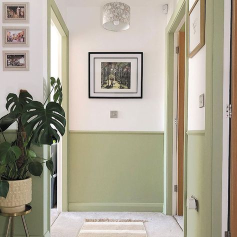 Hallway Colour Ideas, Green Wall Paint Colors, Hallway Colour Schemes, Green Bedroom Paint, Hallway Paint Colors, Green Hallway Ideas, Hallway Paint, Hallway Colours, Green Hallway