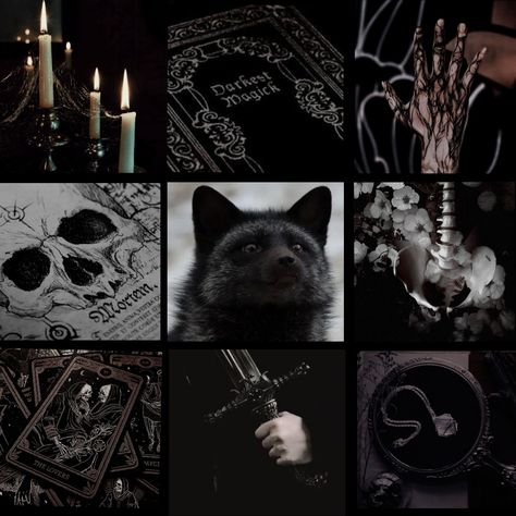 Edgy Moodboard Aesthetic, Horror Moodboard Aesthetic, Crow Moodboard, Dark Moodboard Aesthetic, Dnd Goth, Demon Moodboard, Ghost Moodboard, Goth Mood Board, Chaos Moodboard