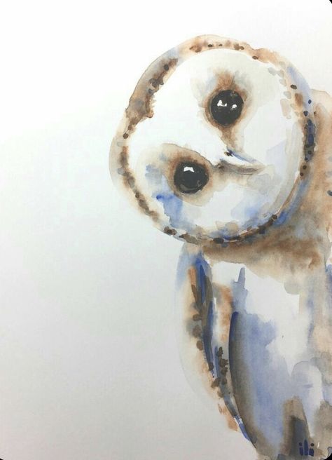 Water Colour Animals Easy, Watercolor Owls, Watercolour Owl, Drawing Wildlife, Wildlife Watercolor, Watercolour Animals, Owl Watercolor, Bird Watercolor Paintings, Bird Watercolor