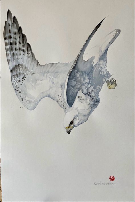 Watercolor painting of a white gyrfalcon diving by artist Karl Martens. Karl Martens, Falcon Art, Eagle Painting, Animals Artwork, Bird Drawings, Watercolor Bird, Wildlife Art, Birds Painting, 귀여운 동물