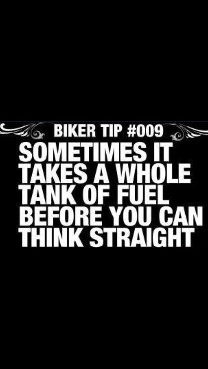 Biker Quotes - Top 100 BEST Biker Quotes and Sayin's Hd Fatboy, Motorcycle Memes, Moto Scrambler, Bike Quotes, Biker Quotes, Motorcycle Quotes, Types Of Guys, Enjoy The Ride, Custom Bike