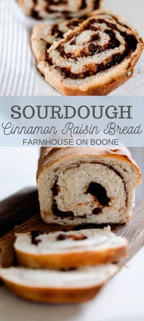 This sourdough cinnamon raisin bread is a fluffy sourdough bread with a swirl of cinnamon and raisins. The grains are fermented to give it that delicious tang and the added health benefits. It is the perfect snack or dessert. #farmhouseonboone #sourdough #sourdoughcinnamonraisinbread #sourdoughbread Sourdough Raisin Bread Recipe, Fluffy Sourdough Bread, Sourdough Cinnamon Raisin Bread, Cinnamon Raisin Sourdough Bread, Raisin Sourdough Bread, Cinnamon Raisin Sourdough, Sourdough Cinnamon Raisin, Cinnamon Raisin Bread Recipe, Soft White Bread