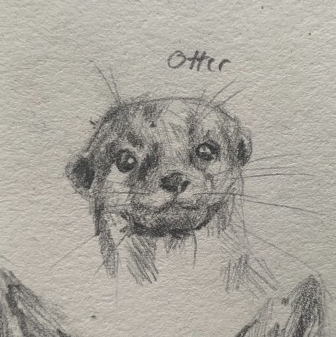 Cute smiling animal drawings of a baby otter. Pencil sketch of the otter on a small scale and is part of a collection of small animal drawings. Creative cute and fluffy animal drawing that you can easily do yourself when you are bored or have art block. Uk animals that you could draw. Otter Drawing, Sketchbook Drawings, Draw Sketch, Arte Sketchbook, Cute Doodle Art, Art Drawings Sketches Creative, Animal Sketches, Blouse Tops, Art Inspiration Painting