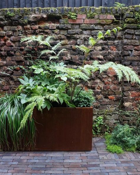 Container Courtyard Garden, Corten Steel Raised Beds, Corten Garden, Brick Wall Gardens, Toad Hall, Brick Planter, Garden Troughs, Garden Details, Alexander Pushkin