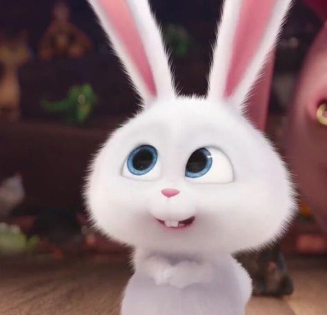 Cutest wallpaper hd Secret Life, White Rabbit, The Secret, Blue, White