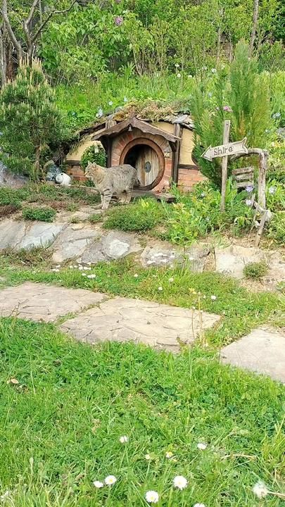 The Thief. #cat #cathouse #hobbithouse #catlover #catsoftiktok #cattok... | TikTok Hobbit Garden, Peaceful Day, Hobbit Hole, Front Steps, Gardening Books, Cat Shelves, Hobbit House, The Shire, Perfect Life