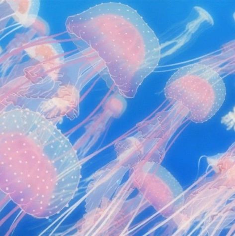 Pretty Jellyfish, Sea Jellies, Pink Jellyfish, Princess Jellyfish, Fish Icon, Blue Jellyfish, Jellyfish Art, Pink Fish, Pink Ocean