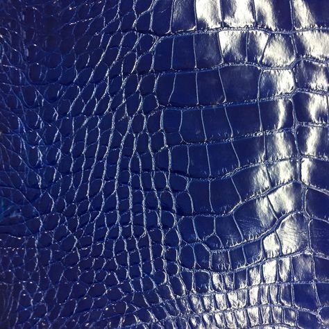 Alligator Skin, Pan American, Crocodile Print, Crocodile Skin, American Leather, Crocodile Leather, Back In Stock, Deep Blue, Alligator