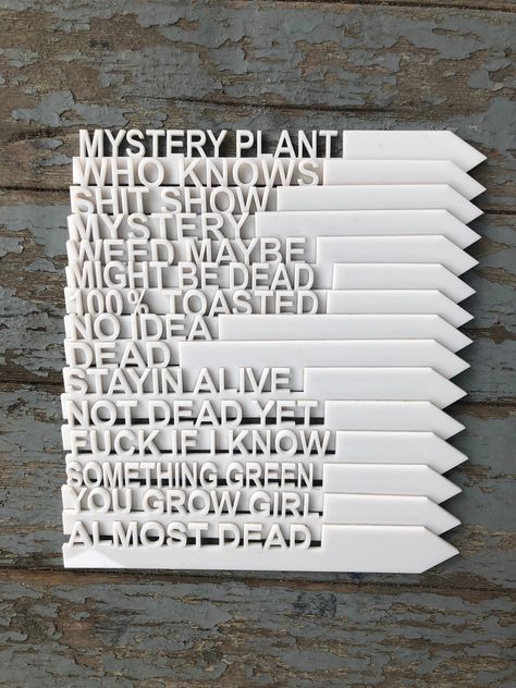 Funny Gardening, Store Signage, Gardening Humor, Foul Language, Laser Cut Wood Crafts, Plant Tags, Gardening Gift, Square Foot Gardening, Garden Markers