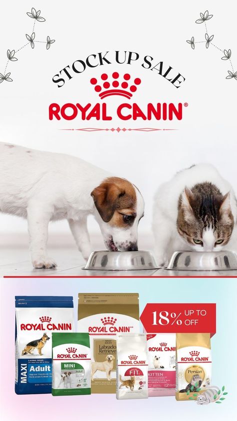 From lil pups🐶 to big doggos🐕, from kittens to fully grown cats🐈, Royal Canin for all ranges is BACK IN STOCK with amazing discounts! Head to our website to order now! Link in bio! Food Cat, Mother Milk, Giant Dogs, Royal Canin, Rottweiler Puppies, Puppy Food, Small Puppies, Cat Feeding, Large Dog Breeds