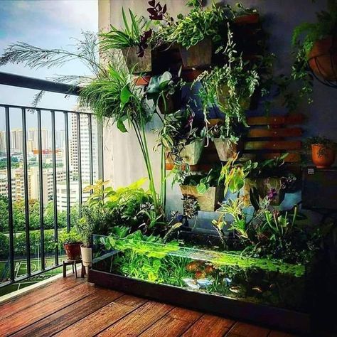 Aquarium Garden, Kolam Koi, Fish Pond Gardens, Fish Tank Terrarium, Amazing Aquariums, Taman Air, Aquascape Design, Indoor Water Garden, Garden Pond Design