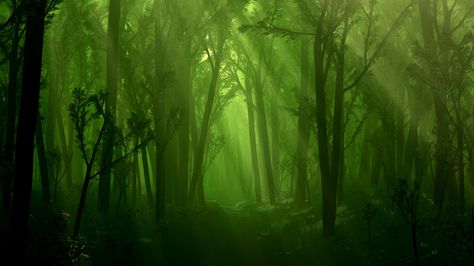 Fantasy Forest Backgrounds | Fantasy - Forest Wallpaper Dark Forest Background, Dark Green Wallpaper, Hd Widescreen Wallpapers, Artistic Wallpaper, Green Things, Forest Background, Magic Forest, Theme Background, Fantasy Forest