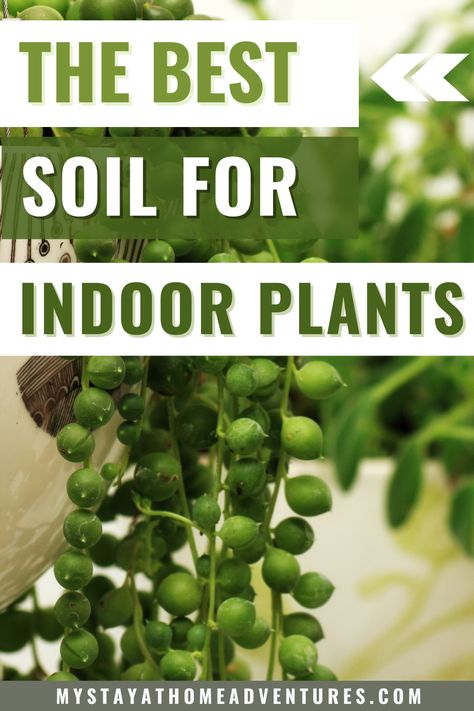 Mixing Soil For Houseplants, Potting Indoor Plants Tips, Fertilizing Indoor Plants, Best Plant Soil, Best Potting Mix For Indoor Plants, House Plant Soil Recipe, Best Soil Mix For Indoor Plants, Soil Mixture For Indoor Plants, Houseplant Soil Mixture