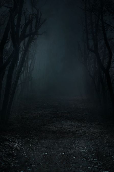 Dark Scary Forest Aesthetic, Horror Forest Background, Horror Background Dark, Dark Forest Aesthetic Night, Creepy Forest Background, Forest Book Cover, Wattpad Covers Ideas, Dark Forest Background, Horror Forest