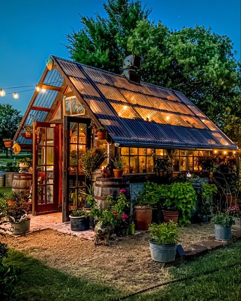 Beautiful Greenhouse Ideas, Modern Greenhouses Diy, Diy She Shed Greenhouse, Reclaimed Greenhouse Ideas, Walk Through Greenhouse, Greenhouse With Shed, Greenhouse In The Woods, Greenhouse Reclaimed Windows, Greenhouse Made With Old Windows