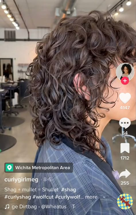 Gender Neutral Curly Hair, Curly Hair Shags, Women’s Curly Mullet, Curly Shullet Hairstyles, Semi Mullet Women, Shullet Curly Hair, Soft Mullet Haircut Curly, Shullet Hairstyles Curly, Curly Haired Mullet