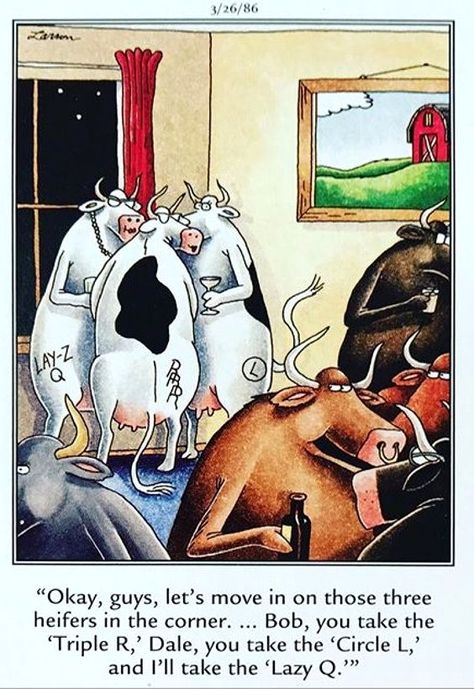 cows at cocktail party: let's move in on those heifers Cow Jokes, Larson Cartoons, Gary Larson Far Side, Gary Larson Cartoons, The Far Side Comics, Far Side Cartoons, Far Side Comics, Cartoons Funny, Talking Animals