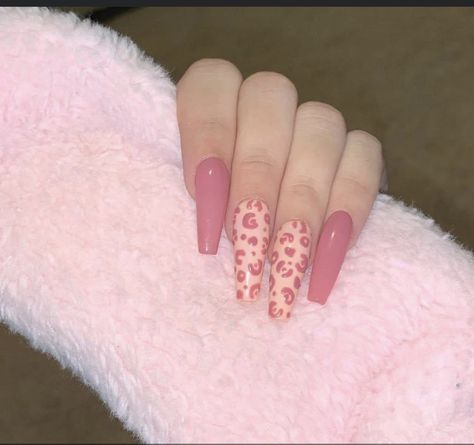 Pink And White Cheetah Nails, Cheetah Print Nails Pink, Pink Cheetah Print Nails, Nail Illustration, Baddie Nail Ideas, Pink Cheetah Nails, Pink Leopard Nails, Spring Nails 2023, Cheetah Print Nails