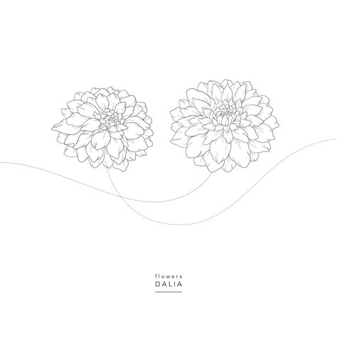 Flowers ⚘ Dalia ⚘ Dahlia Dalia Flower Drawing, Dahlia Sketch, Dahlia Drawing, Daliah Flower, Dalia Flower, Hope Drawing, Dahlia Tattoo, Flower Logo Design, Colouring Sheets