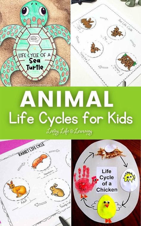 Fun Animal Life Cycles for Kids Animal Science Projects, April Kindergarten Activities, Animal Science Experiments, Life Cycles Preschool, Learning About Animals, Mammals Activities, Homeschool Science Lessons, Planets Activities, Cycle For Kids