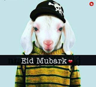 Eid Ul Adha Mubarak Images, Eid Ul Adha Wishes, Eid Mubarak Dp, Eid Ul Azha Mubarak, Eid Ul Adha Images, Cute Happy Birthday Wishes, Eid Al Adha Wishes, Dp For Girl, Eid Ul Adha Mubarak