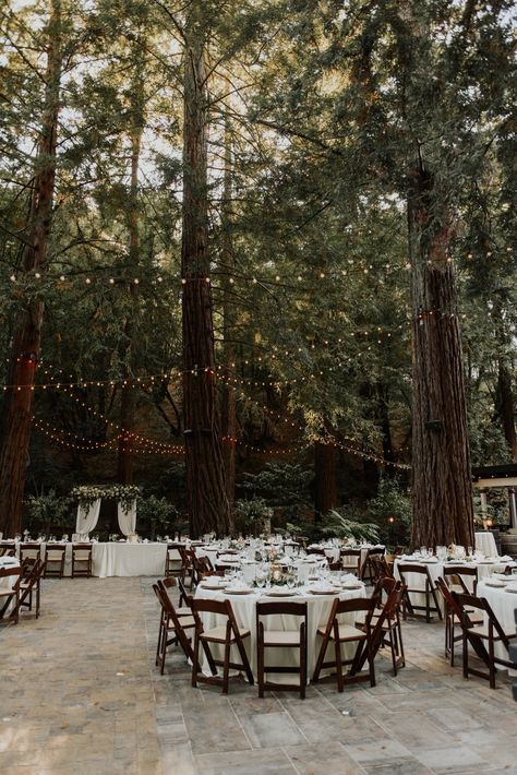 Redwood Wedding California, Fairfax California, Deer Park Villa, Redwood Forest Wedding, Forest Wedding Venue, Marine Wedding, Redwood Wedding, Enchanted Forest Wedding, The Redwoods