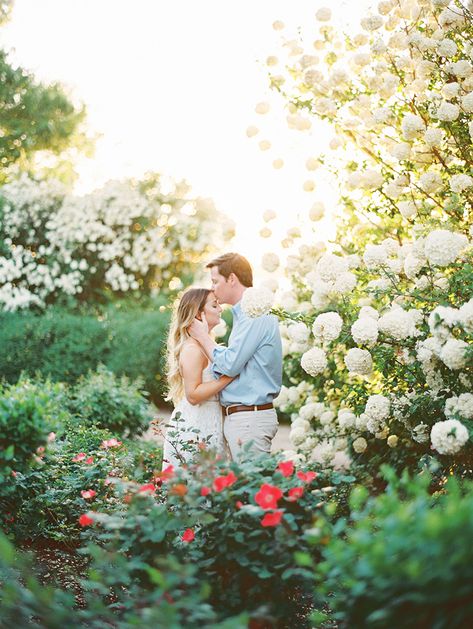 Tattoo Plant, Cute Engagement Photos, Fun Engagement Photos, Garden Engagement, Couple Engagement Pictures, Engagement Photos Country, Spring Engagement Photos, Dallas Arboretum, Engagement Shots