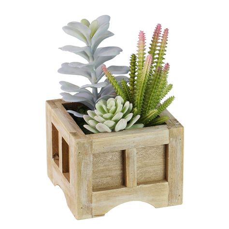 Brighten your space with the Multi Plant Potted Succulent, the perfect addition to your desk or side table. The fresh and playful feel of this plant will revitalize your space and leave you wanting more. Style it on its own or add picture frames and knickknacks to liven your space even more. 5.5"W x 5.5"D x 9"H. Wood Pallet Planters, Wood Succulent Planter, Pallet Planter, Basket Planters, Wooden Cubes, Beginner Woodworking Projects, Real Plants, Wood Working For Beginners, Small Wood Projects