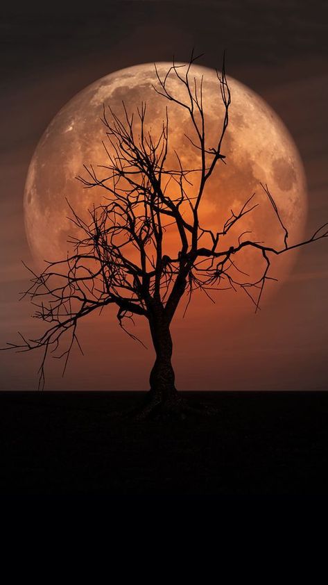 Pin by Dominator on fondos | Beautiful moon, Moon photography, Moon art Shoot The Moon, Moon Photos, Moon Pictures, Moon Photography, Beautiful Moon, Moon Glow, Moon Art, Landscape Wallpaper, Nature Wallpaper