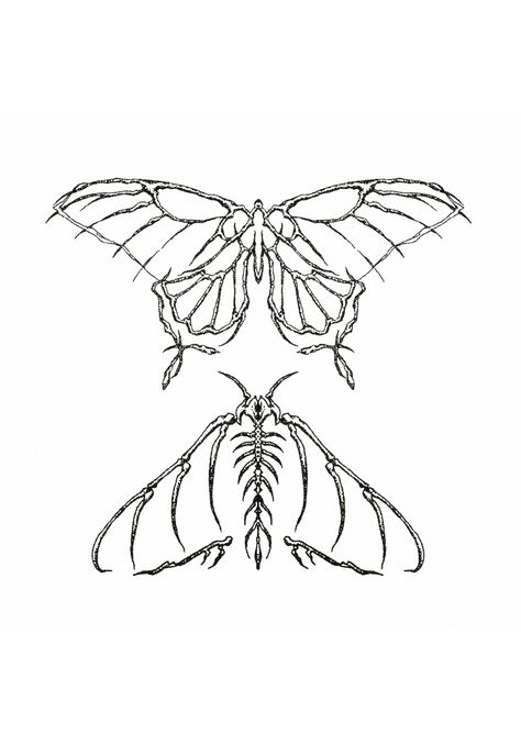 Butterfly moth tattoo Moth Small Tattoo, Insect Wing Tattoo, Polyphemus Moth Tattoos, White Moth Tattoo, Moth And Butterfly Tattoo, Butterfly Moth Tattoo, Small Moth Tattoo, Moth Outline, Metamorphosis Tattoo