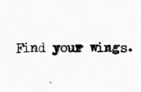 Find Your Wings, Wings Quotes, Hippie Quotes, Peacock Tattoo, Bird Wings, Happy Girl, Random Thoughts, Sarcastic Quotes, Wild Hearts