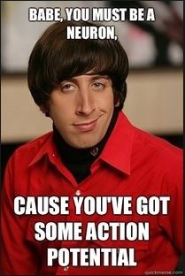 You must be a neuron. Big Bang Theory Memes, Howard Wolowitz, Dik Dik, The Bigbang Theory, Funny Pick, Pick Up Lines Cheesy, Pick Up Lines Funny, Pickup Lines, Math Jokes