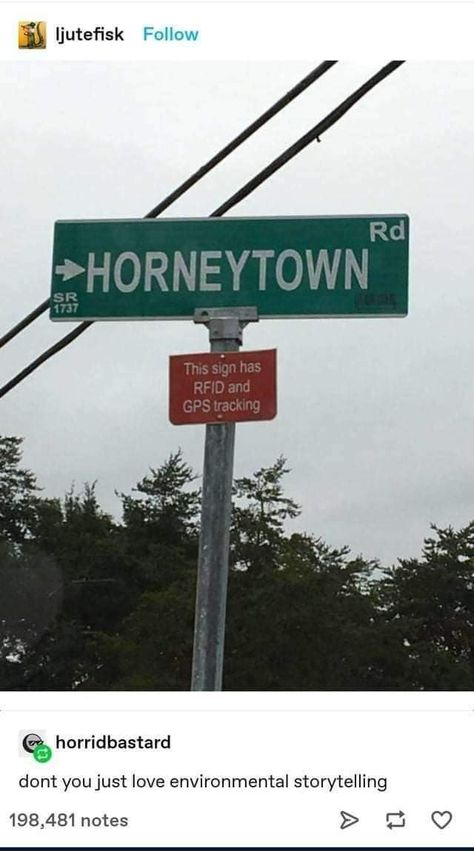 Funny Road Signs, Street Sign, Street Signs, Funny Signs, You Funny, Tumblr Posts, Tumblr Funny, Amazing Stories, Storytelling