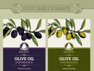 Set of olive oil label stickers vector | free vectors | UI Download Olive Oil Noodles, Olive Oil Label, Best Olive Oil Brand, Olive Oil Bottle Design, Olive Oil Brands, Olive Oil Packaging, Pasta Art, Bottle Label Design, Olive Oil Soap