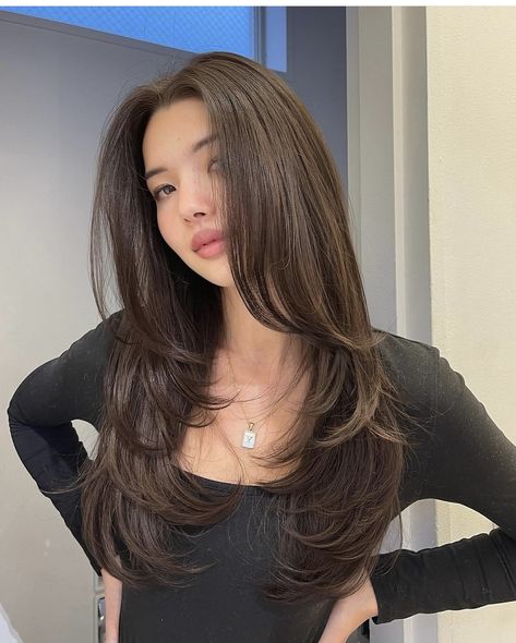 Long Wispy Side Bangs, Korean Long Layered Haircut, Front Layers Long Hair, Long Front Bangs, Butterfly Haircut, Haircut 2024, Haircuts For Long Hair With Layers, Haircuts For Medium Length Hair, Hair Inspiration Long