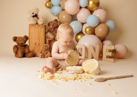 Teddy Bear Smash Cake, Teddy Bear Theme Cake Smash, Teddy Bear Cake Smash Photo Shoot, Teddy Bear Cake Smash, Smash Bear Chocolate, Mini Photo Sessions, Cake Smash Photography, Mini Photo, Milestone Birthdays