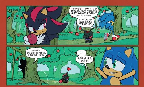 Id love to think shadow adopted that chao Shadow Idw, Shadow Chao, Sonic Channel, Sonic Idw, Sonic Funny, Sonic Fan Characters, Sonic 3, Sonic Franchise, Illustration Quotes