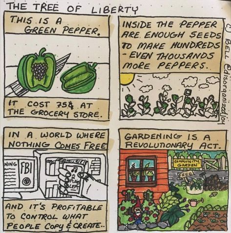 🌱 Embrace the Revolution! 🌱 This green pepper isn't just a vegetable; it's a symbol of freedom. 🌿 Inside lie hundreds, even thousands of seeds, ready to sprout into new life. 💚 In a world where control and profit dictate so much, gardening becomes a revolutionary act 🌍✊ Take charge of your own growth, both literally and metaphorically. Let's sow the seeds of change together! #GardeningRevolution #Empowerment #GrowYourOwn 🌶️🌻 Artwork can be found @disorganizedjoy Seeds Of Change, Symbol Of Freedom, Symbols Of Freedom, Green Pepper, Take Charge, The Revolution, A Symbol, Stuffed Green Peppers, In A World