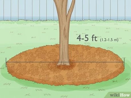 How to Mulch around a Tree: 4 Easy Steps (With Pictures) Mulch Bed Around Tree, Mulch Under Trees, How To Landscape Around A Tree, Mulch Around House, How To Mulch Around Trees, How To Lay Mulch Down, Mulching Around Trees, Around Tree Landscaping Ideas, Edging Around Tree