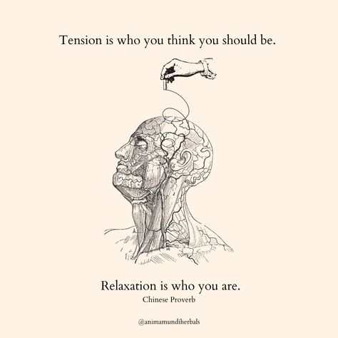 Tension (n.) from the Latin root “tendere”, meaning to stretch. In casual conversation, tension is often confused with constriction or conflict, but this physical or emotional stretch—“tension” in French is translated as “a stretched condition”—is actually an opportunity to release, to let go, and to ease into acceptance. Nature Witch, Types Of Meditation, Divine Feminine Spirituality, The Nervous System, Poetry Words, Healing Journey, Women In History, Bible Verses Quotes, Wall Quotes