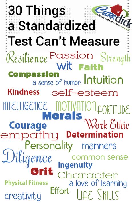 30 things standardized tests can't measure Unschooling, Creative Learning, Standardized Testing, Teacher Quotes, Science Classroom, Music Education, Physical Fitness, Life Skills, Self Esteem