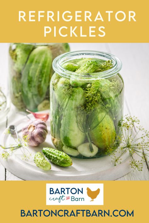 This recipe is for homemade easy delicious refrigerator pickles that last about 4-6 weeks in the fridge, but we have actually tested that limit and we able to use them all summer long! Very easy to follow steps to make and preserve homemade pickles with fresh cucumbers from the garden. Find this recipe along with other garden fresh recipes at bartoncraftbarn.com. Also find gardening & harvesting tips & learn about our hobby farm. Also find cricut craft tutorials with free svg files on the site. Easy Pickle Recipe, Refrigerator Pickle Recipes, Easy Pickling Recipes, Easy Pickle, Canning Pickles, Pickle Recipe, Refrigerator Pickles, Cucumber Seeds, Growing Cucumbers