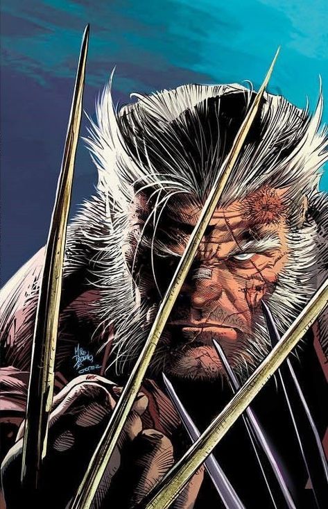 Wolverine Comic Art, Wolverine Artwork, Wolverine Claws, Old Man Logan, Wolverine Comic, Mike Deodato, Wolverine Art, Logan Wolverine, Comic Book Artwork